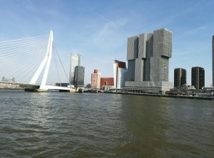 Bericht Tagesbusfahrt ins sonnige Rotterdam